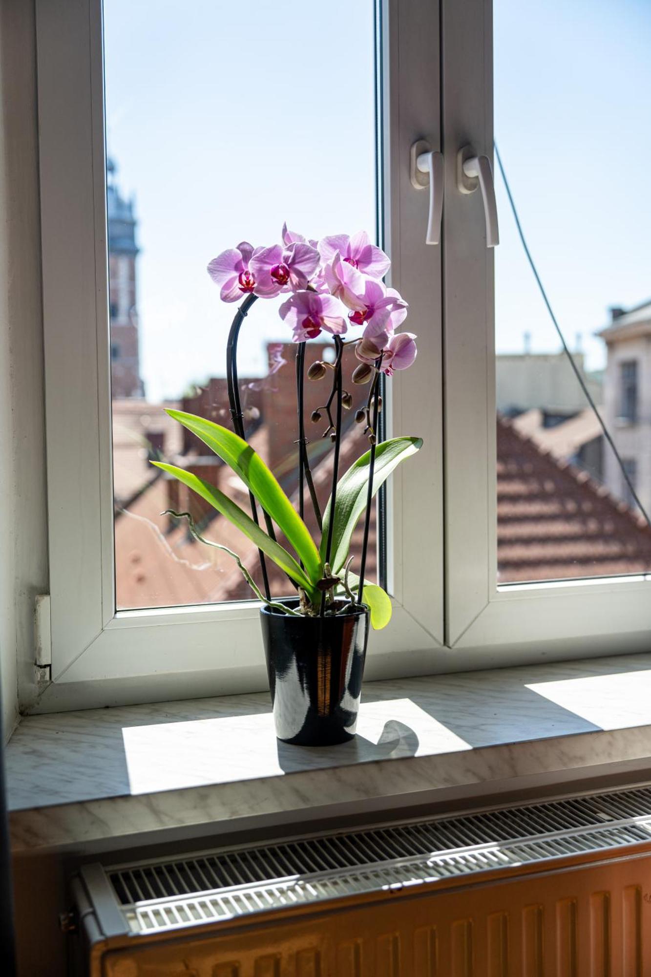 Vista View Apartment Красков Екстериор снимка